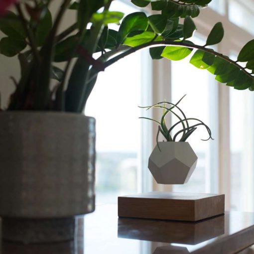 Lyfe Levitating Indoor Planter by Simon Morris