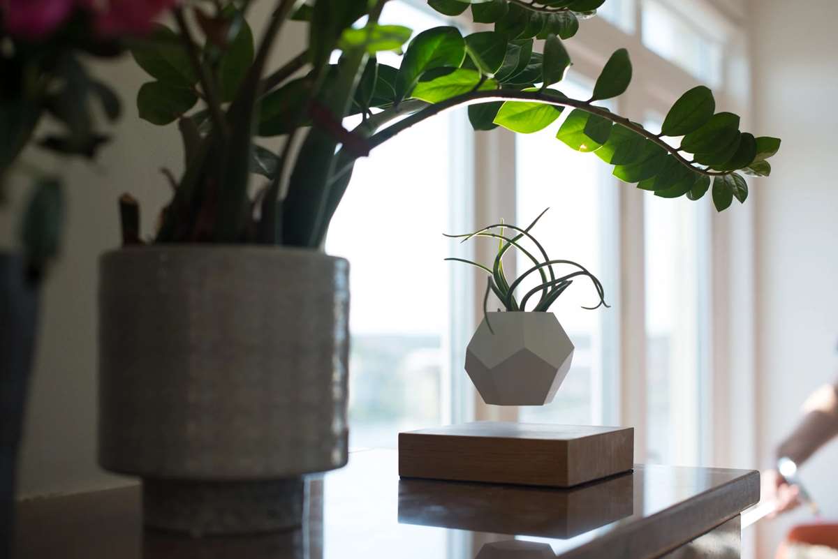 Lyfe Levitating Indoor Planter by Simon Morris 