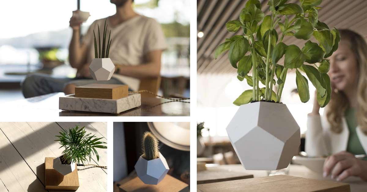 Lyfe Levitating Indoor Planter by Simon Morris