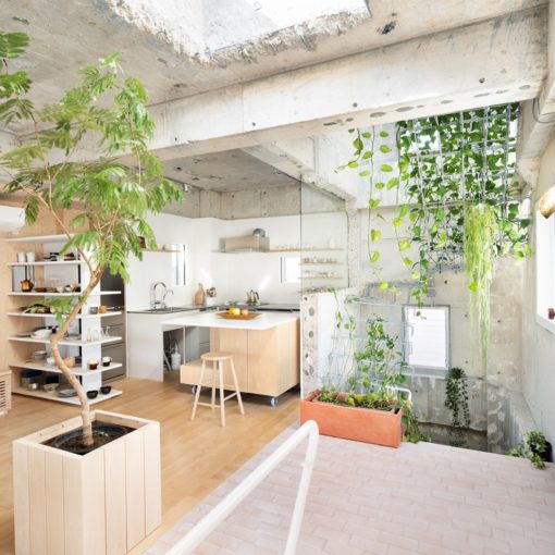 Old Reinforced Concrete Building Converted into MAMM DESIGN Office and Residence